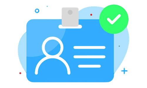 What is Data Profiling